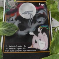 Extractos de salvia divinorum First Experience