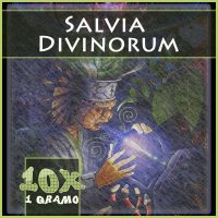 Salvia divinorum extracto 10x
