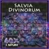 Salvia divinorum portada extracto 40x 1gr