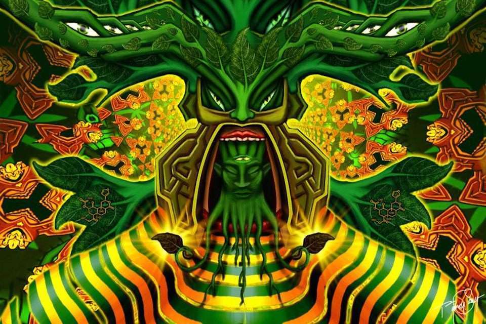 guia salvia divinorum Mexico