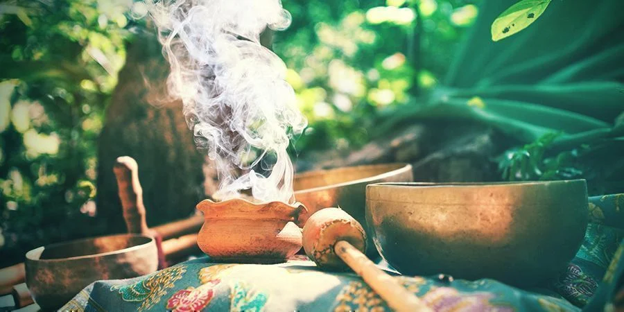 usos curativos de la salvia divinorum
